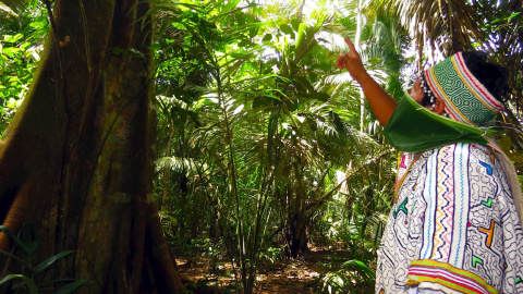 Fotografía cedida por la Asociación Interétnica de Desarrollo de la Selva Peruana (AIDESEP) que muestra a un indígena del pueblo Shipibo que utiliza una mascarilla hecha de hojas, en la provincia de Uyacalí, departamento de Loreto (Perú). / EFE