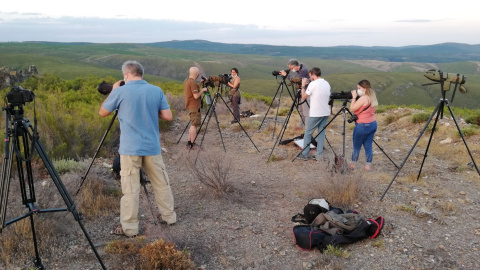 Grupo de observación de los lobos de Sanabria