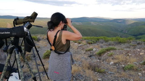 Fotografiando a los lobos de Sanabria