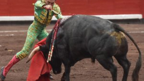 Fundación Toro de Lidia critica a Iglesias por "amenazar con la censura cultural a los toros"