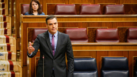 El president del govern espanyol, Pedro Sánchez, durant la sessió de control al Congrés dels Diputats, el 29 d'abril del 2020. ACN/Congrés dels Diputats