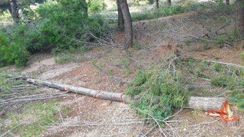 Acciones denunciadas por los movimientos ecologistas. / SALVEM LA RENEGÀ