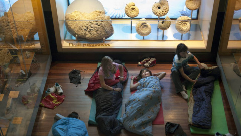 Imagen tomada en 2013 en el Museo Nacional de Ciencias Naturales de Madrid, donde niños y niñas podían pasar una noche. / Olmo Calvo / SINC