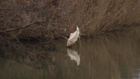 La pareja que tiró a su bebé al río a la espera de la decisión del juez