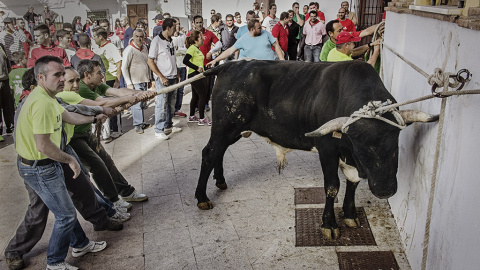 Una imagen del documental Santa Fiesta, durante la fiesta de los Toros de San Marcos, en Ohanes. JIM MCLAREN