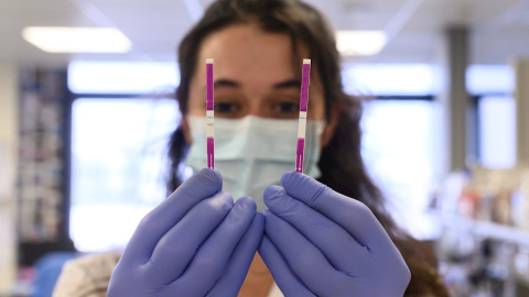 12/0/2020.- Miembros del laboratorio del grupo internacional Eurofins realizan test para detectar el Covid-19, este viernes en Madrid. / EFE -  Fernando Villar