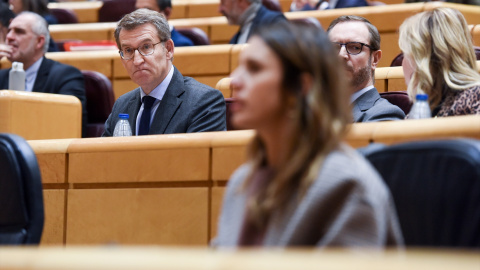 El presidente del PP, Alberto Núñez Feijóo, durante una sesión plenaria, en el Senado, a 8 de febrero de 2023, en Madrid (España). Foto: Gustavo Valiente / Europa Press