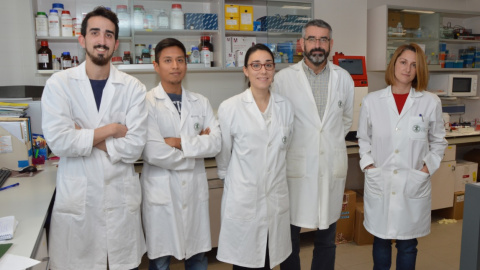 El proyecto liderado por José Gallego, de la Fundación Universidad Católica de Valencia San Vicente Mártir. Una de las seis iniciativas de investigación e innovación seleccionadas en el programa CaixaImpulse.