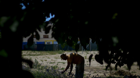 Un hombre trabaja en uno bancal colectivo de un huerto urbano de Madrid. (Dani Pozo/AFP)