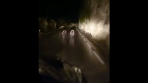 Persecución a dos osos pardos en una carretera de Cantabria