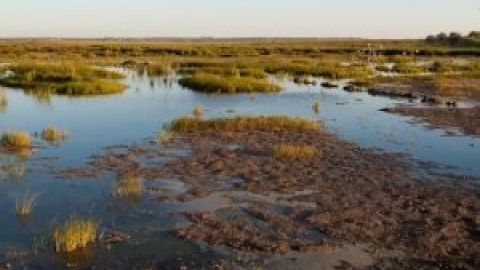 La Albufera de València o cómo rescatar un humedal amenazado por la mala gestión del agua