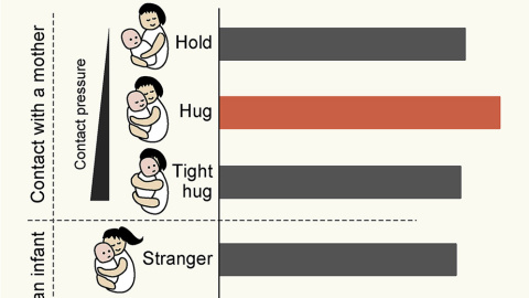 Los bebés se relajan más cuando el abrazo cuando le abrazan sus padres. / iScience