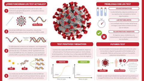 ¿Cómo funcionan los test del coronavirus?/ Compound Interest