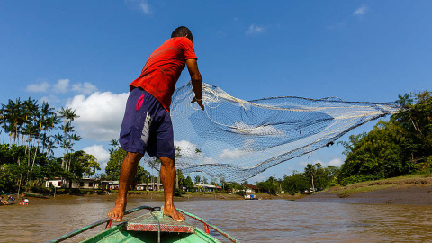 25/09/19- La pesca es una de las principales ocupaciones para la población de la región de Bailique, en el estado brasileño de Amapá, en la desembocadura del río Amazonas. DIEGO BARAVELLI/ GREENPEACE