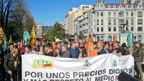 Manifestantes en la concentración de Oviedo. / Twitter-Teresa Mallada De Castro