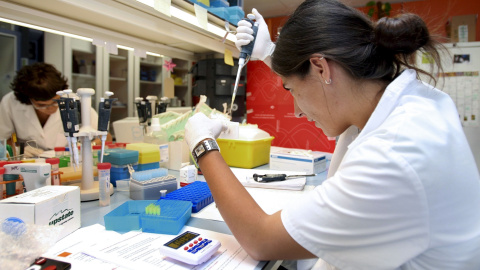 Una investigadora española trabaja en el laboratorio.- EFE/ARCHIVO