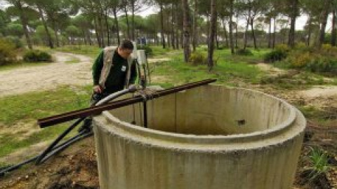 Agresiones a los agentes que controlan los pozos ilegales de Doñana