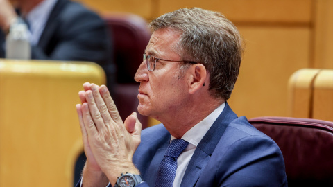 El presidente del Partido Popular, Alberto Núñez Feijóo, durante una sesión de control al Gobierno en el Senado, a 9 de mayo de 2023, en Madrid (España). Foto: Ricardo Rubio / Europa Press