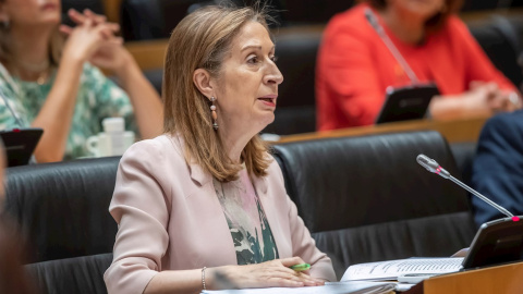 La diputada del PP, Ana Pastor durante su intervención en la Comisión para la Reconstrucción Social y Económica del Congreso. EFE/Rodrigo Jiménez