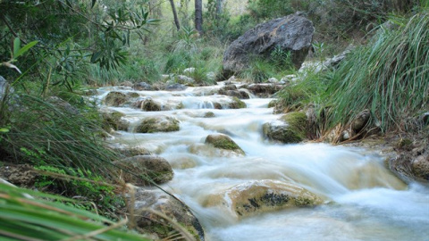 La Poza de los Patos (Nerja, Málaga)