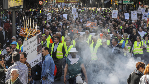 Agricultores y ganaderos de València llenan las calles de la capital. / EP