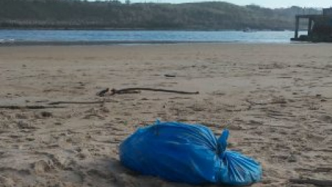 Aparece un perro de caza muerto en una playa de Suances