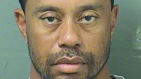 Foto de la ficha policial de Tiger Woods en la oficina del sheriff en Palm Beach, Miami (EEUU). | REUTERS