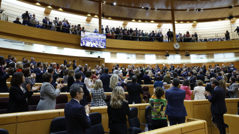  El Congreso aprueba la reforma de la Constitución para cambiar el término "disminuidos" por "persona con discapacidad". — EFE/ J.J. Guillén