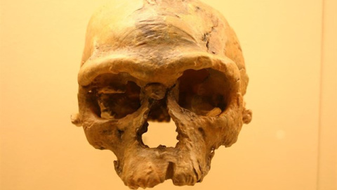 Científicos descubren los fósiles de los primeros 'Homo sapiens' en Marruecos. WIKIMEDIA/DAVID H. KOCH