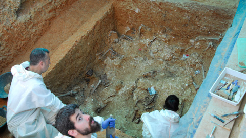 Fosa 113 del cementerio de Paterna.- DIPUTACIÓN DE VALÈNCIA