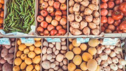 El veganismo como una de las soluciones al cambio climático