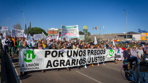 Los agricultores convocados por La Unión, la Asociación del Sector Primario Extremeño (ASEPREX) y la Asociación del Valle del Jerte, participan en una manifestación por los precios de los productos agrarios este viernes en Mérida y cuyo recorrido co