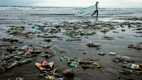 En 35 años habrá más plástico que peces en los océanos