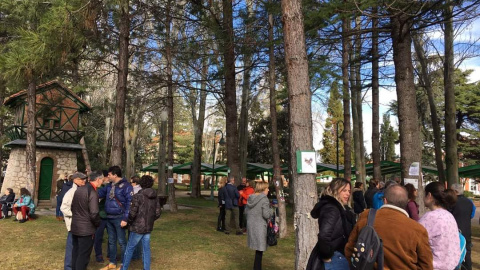 Movilizaciones en Jardinillos de Palencia para evitar la tala de árboles. TWITTER