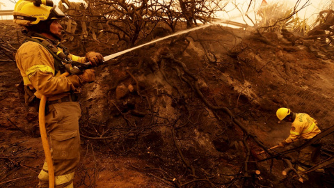 Un bombero acaba de sofocar el incendio que ha afectado este domingo a la urbanización La Quinta en el municipio de Santa Úrsula, en Tenerife. EFE/Ramón de la rocha