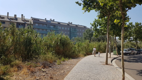 El casco urbano de Cuarte de Huerva está atravesado por el rio del mismo nombre, parte de cuya llanura de inundación está ocupada por edificios.