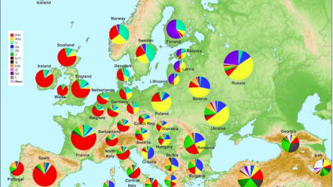 Uno de los mapas genéticos de Europa más populares entre los neonazis españoles