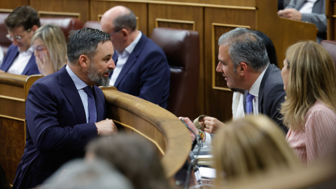  El líder de Vox Santiago Abascal (i) conversa con el diputado Javier Ortega Smith durante el pleno del Congreso de los Diputados, este martes en Madrid. EFE/ Zipi Aragon