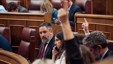 Santiago Abascal en una sesión del Congreso.- Gabriel Luengas / Europa Press