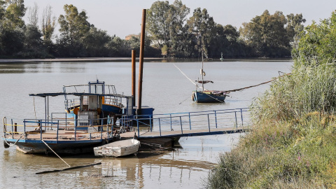 Imagen del Guadalquivir a su paso por el municipio sevillano de Coria del Río, una de las dos localidades donde se ha registrado el brote de meningoencefalitis vírica con 18 personas afectadas. - EFE