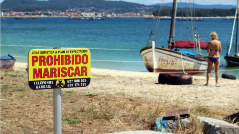 A Illa de Arousa. Foto: Alba Tomé.