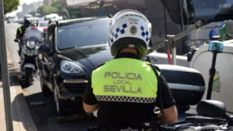 Detenido por dar una presunta paliza a un cachorro de siete meses y estrellarlo contra un coche