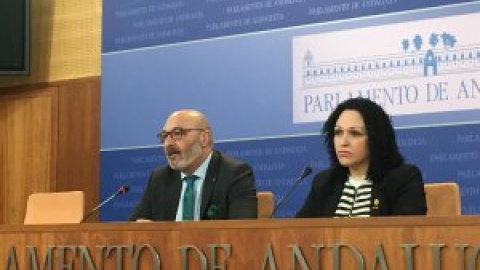 Una diputada de Vox en Andalucía deja el partido, relata episodios machistas y denuncia acoso laboral