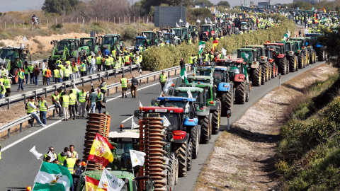 25/02/2020.- La 'tractorada' de agricultores y ganaderos, que cortan la carretera A-4 a la altura de la localidad sevillana de Carmona. EFE/José Manuel Vidal