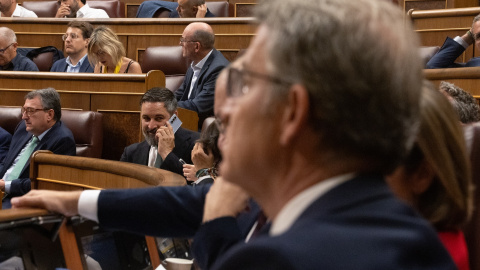  El líder de VOX, Santiago Abascal, habla por teléfono durante un pleno extraordinario en el Congreso de los Diputados. Eduardo Parra / Europa Press