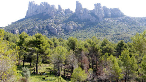 Pla general del massís de Montserrat. ACN