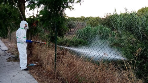 Fotografía facilitada por el Ayuntamiento de Palomares del Río (Sevilla) de un operario fumigando un terreno tras anunciar dicho municipio que iniciaría el protocolo de actuación contra el mosquito del virus del Nilo ante los casos de contagio produci