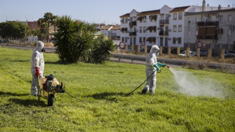 Dos trabajadores durante las labores de fumigación contra los mosquitos causantes del virus del Nilo en Coria del Río / María José López / Europa Press