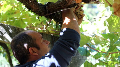 Agricultor de las Rías Baixas. / Alba Tomé.