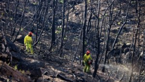 Els incendis del segle XXI podrien arrasar els Pirineus